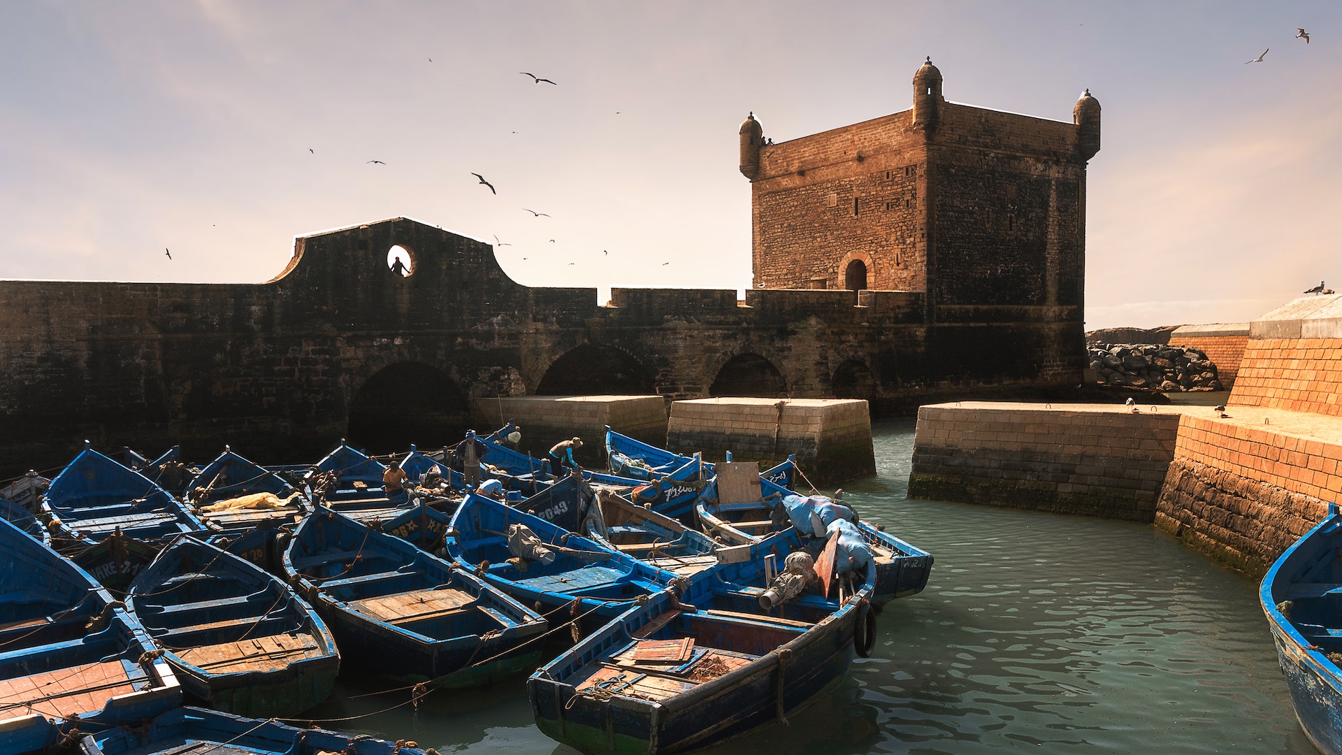 Excursión de un día de Marrakech a Essaouira