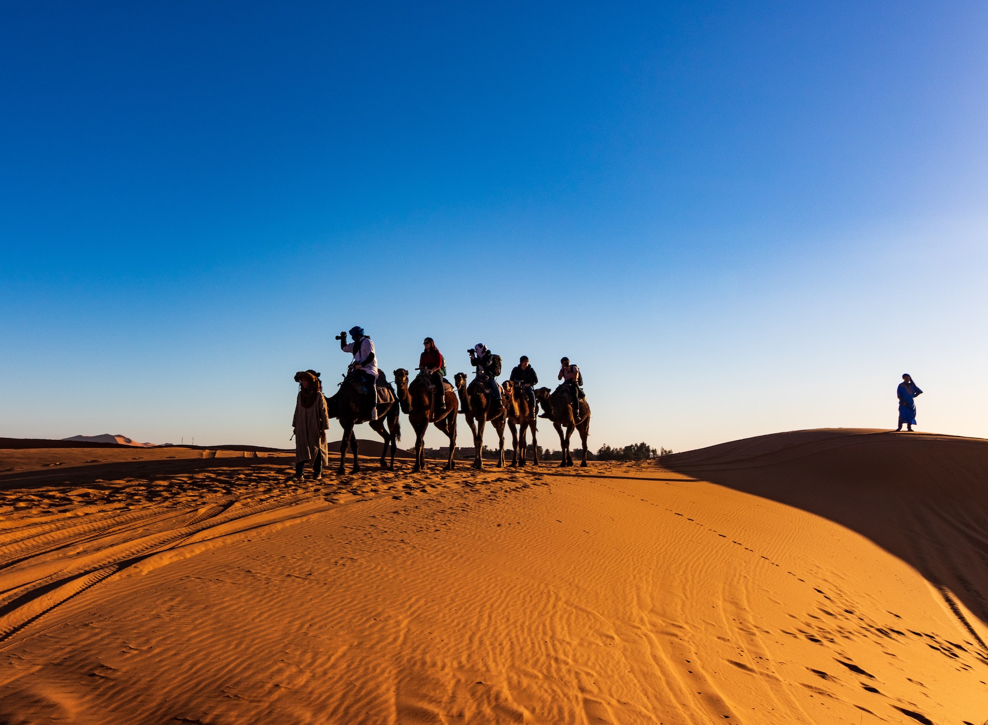 Paseo en Camellos